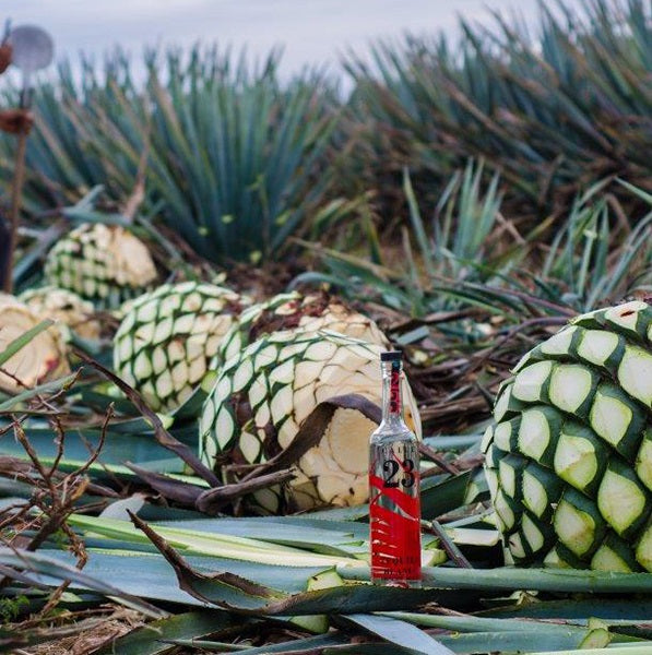 Calle 23 Tequila Blanco 40º